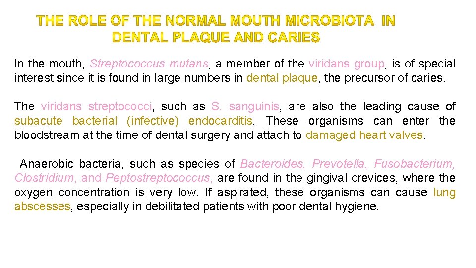 In the mouth, Streptococcus mutans, a member of the viridans group, is of special