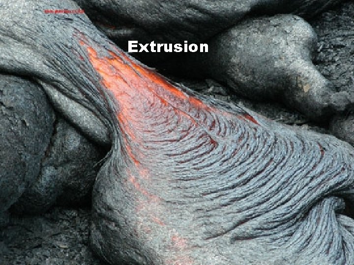 Extrusion 