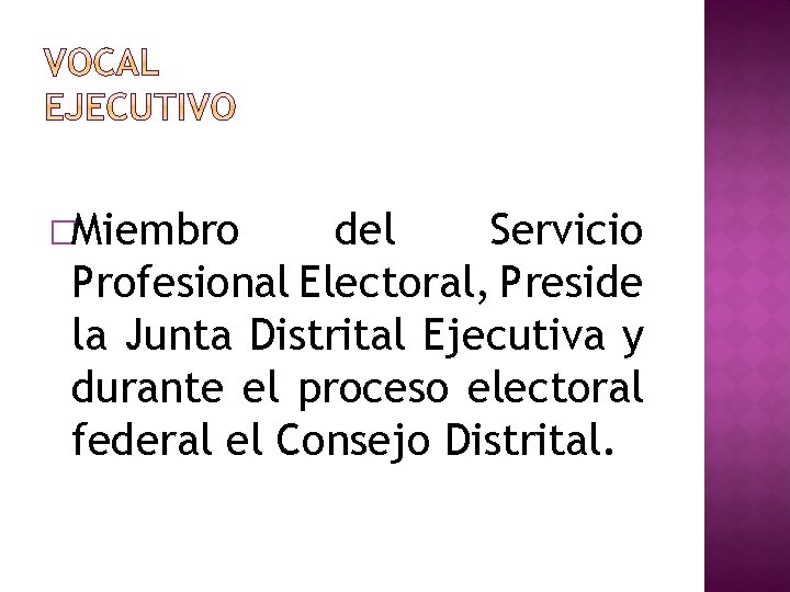 �Miembro del Servicio Profesional Electoral, Preside la Junta Distrital Ejecutiva y durante el proceso