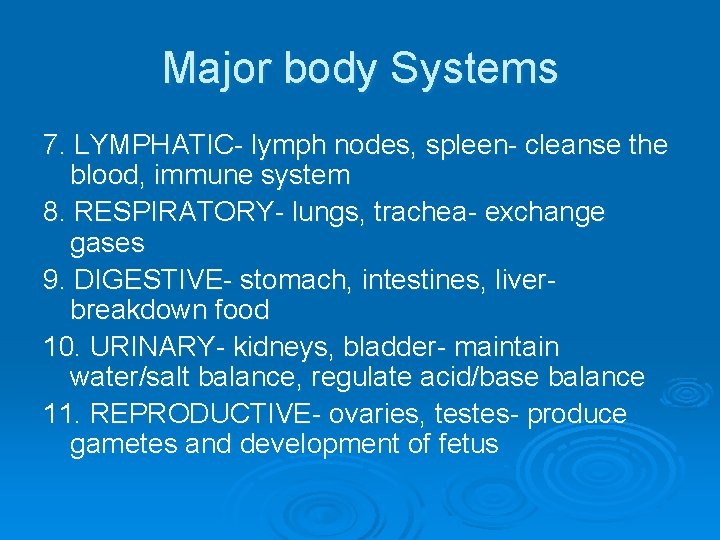 what are some major systems of your body