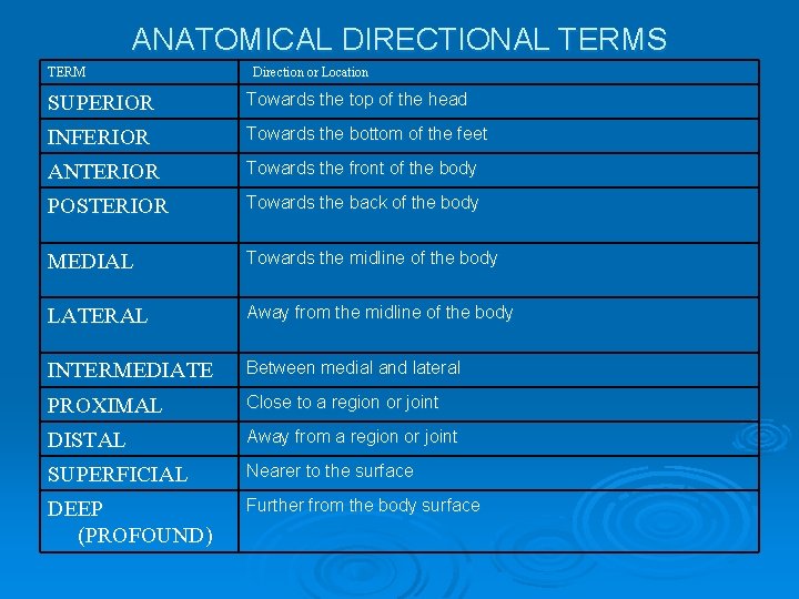 ANATOMICAL DIRECTIONAL TERMS TERM Direction or Location SUPERIOR Towards the top of the head