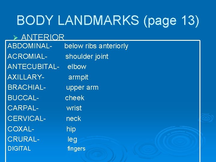 BODY LANDMARKS (page 13) Ø ANTERIOR ABDOMINALbelow ribs anteriorly ACROMIALshoulder joint ANTECUBITALAXILLARYBRACHIALBUCCALCARPALCERVICALCOXALCRURALDIGITAL elbow armpit