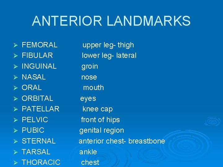 ANTERIOR LANDMARKS Ø Ø Ø FEMORAL FIBULAR INGUINAL NASAL ORBITAL PATELLAR PELVIC PUBIC STERNAL