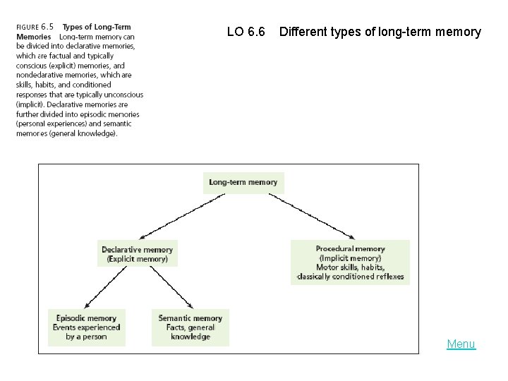 LO 6. 6 Different types of long-term memory Menu 