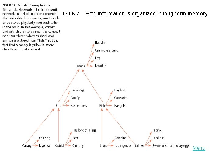 LO 6. 7 How information is organized in long-term memory Menu 