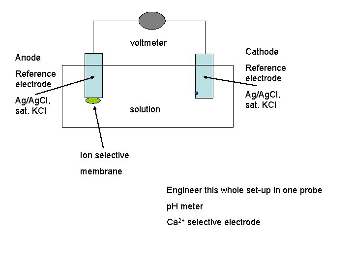 voltmeter Anode Cathode Reference electrode Ag/Ag. Cl, sat. KCl solution Ion selective membrane Engineer