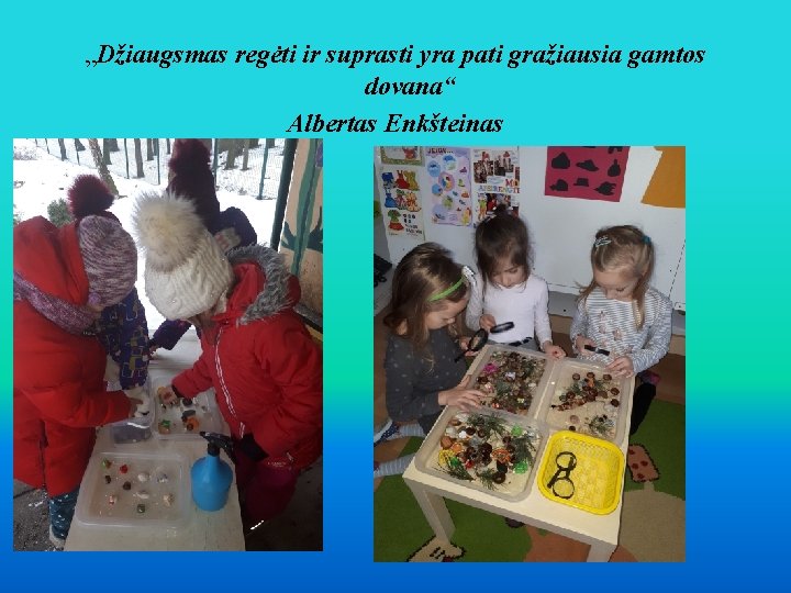 „Džiaugsmas regėti ir suprasti yra pati gražiausia gamtos dovana“ Albertas Enkšteinas 