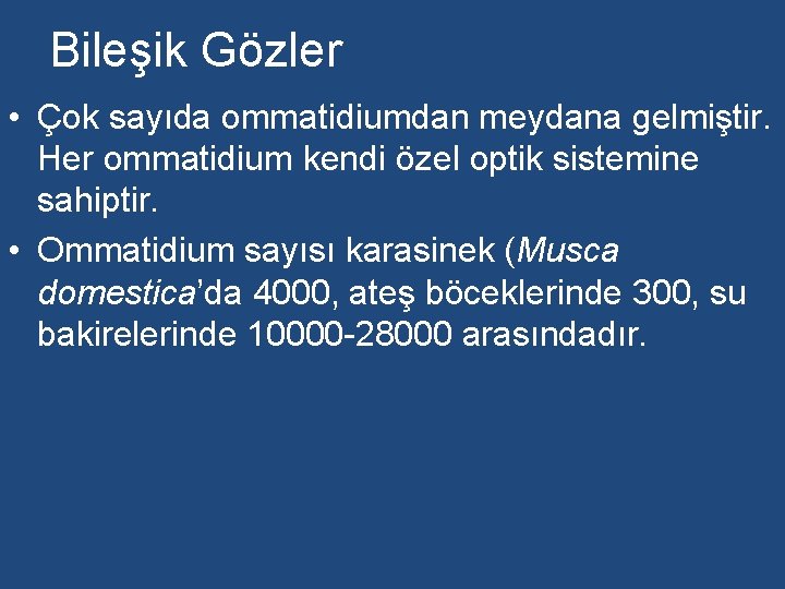 Bileşik Gözler • Çok sayıda ommatidiumdan meydana gelmiştir. Her ommatidium kendi özel optik sistemine