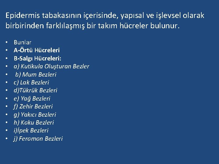 Epidermis tabakasının içerisinde, yapısal ve işlevsel olarak birbirinden farklılaşmış bir takım hücreler bulunur. •