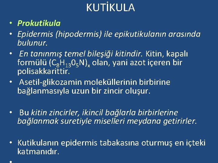 KUTİKULA • Prokutikula • Epidermis (hipodermis) ile epikutikulanın arasında bulunur. • En tanınmış temel