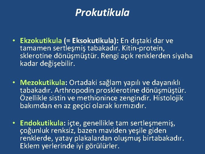 Prokutikula • Ekzokutikula (= Eksokutikula): En dıştaki dar ve tamamen sertleşmiş tabakadır. Kitin-protein, sklerotine