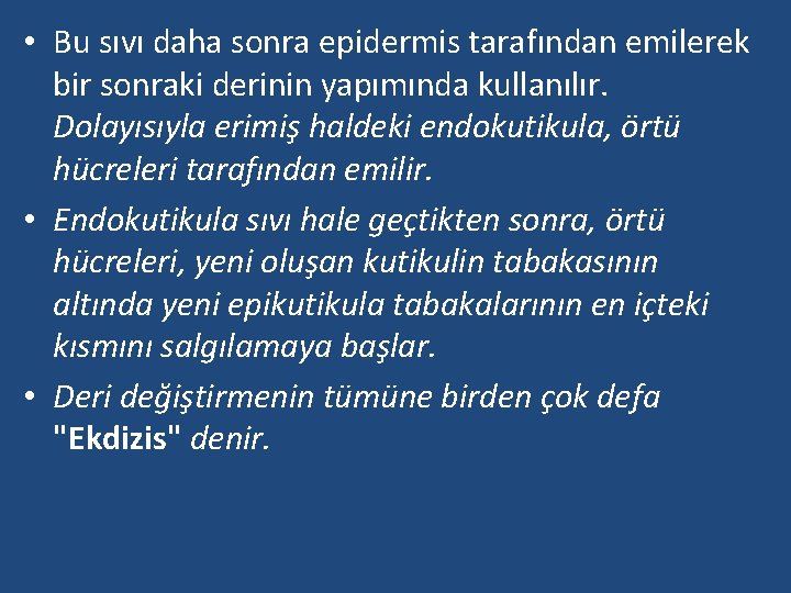  • Bu sıvı daha sonra epidermis tarafından emilerek bir sonraki derinin yapımında kullanılır.