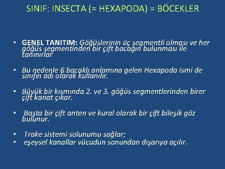 SINIF: INSECTA (= HEXAPODA) = BÖCEKLER • GENEL TANITIM: Göğüslerinin üç segmentli olması ve