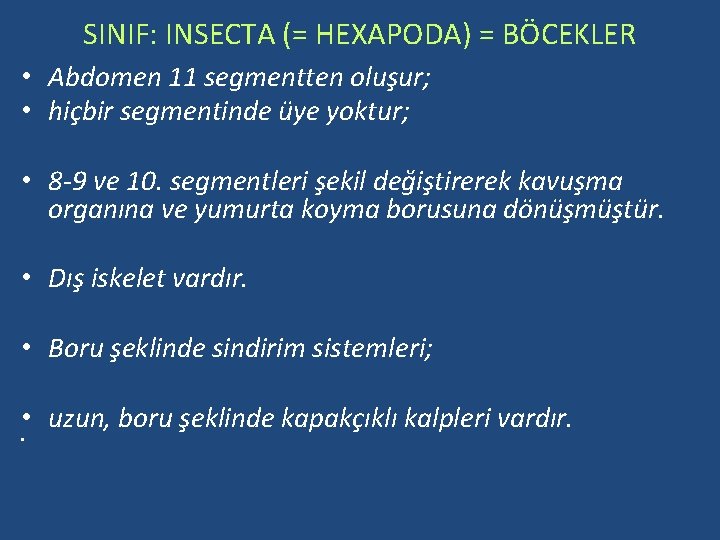 SINIF: INSECTA (= HEXAPODA) = BÖCEKLER • Abdomen 11 segmentten oluşur; • hiçbir segmentinde