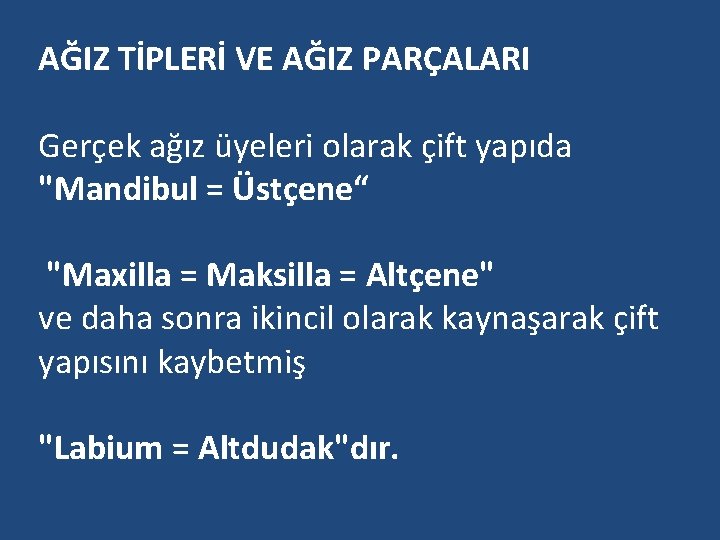 AĞIZ TİPLERİ VE AĞIZ PARÇALARI Gerçek ağız üyeleri olarak çift yapıda "Mandibul = Üstçene“