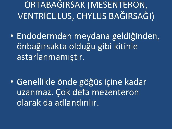 ORTABAĞIRSAK (MESENTERON, VENTRİCULUS, CHYLUS BAĞIRSAĞI) • Endodermden meydana geldiğinden, önbağırsakta olduğu gibi kitinle astarlanmamıştır.