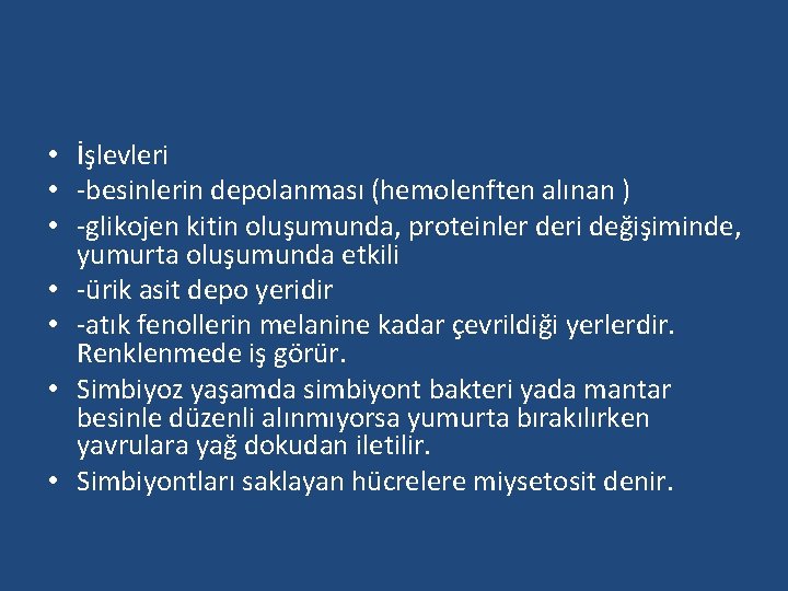  • İşlevleri • -besinlerin depolanması (hemolenften alınan ) • -glikojen kitin oluşumunda, proteinler