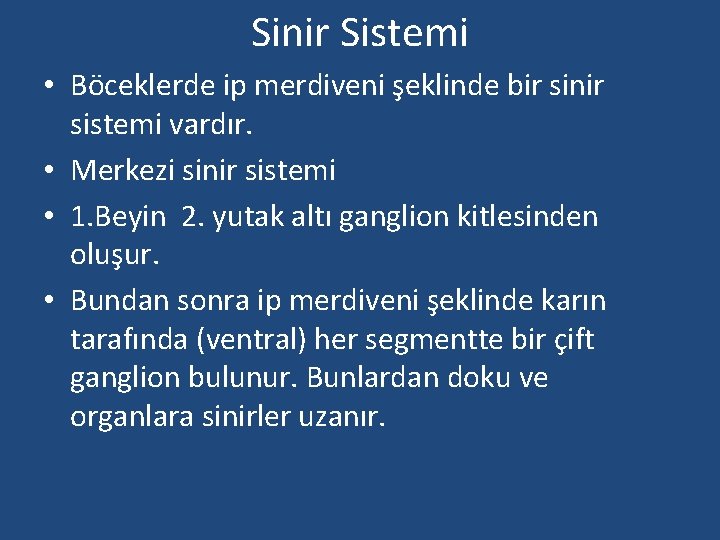 Sinir Sistemi • Böceklerde ip merdiveni şeklinde bir sinir sistemi vardır. • Merkezi sinir