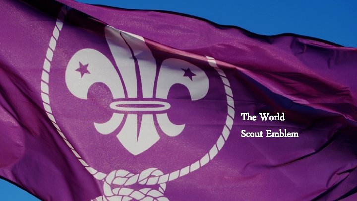 The World Scout Emblem ©WSB Inc. | Communications & Partnerships | page 4 