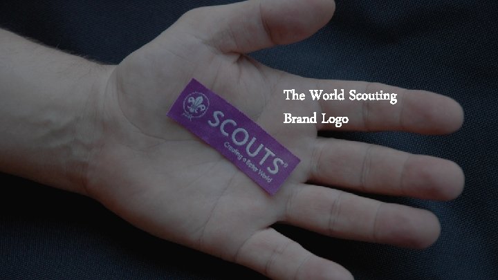 The World Scouting Brand Logo ©WSB Inc. | Communications & Partnerships | page 6