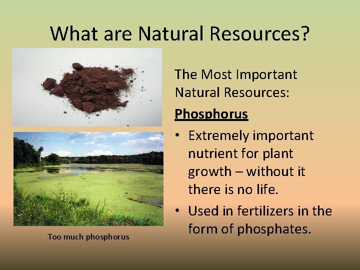 What are Natural Resources? Too much phosphorus The Most Important Natural Resources: Phosphorus •