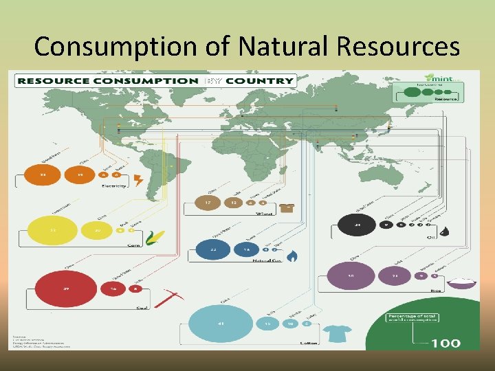 Consumption of Natural Resources 