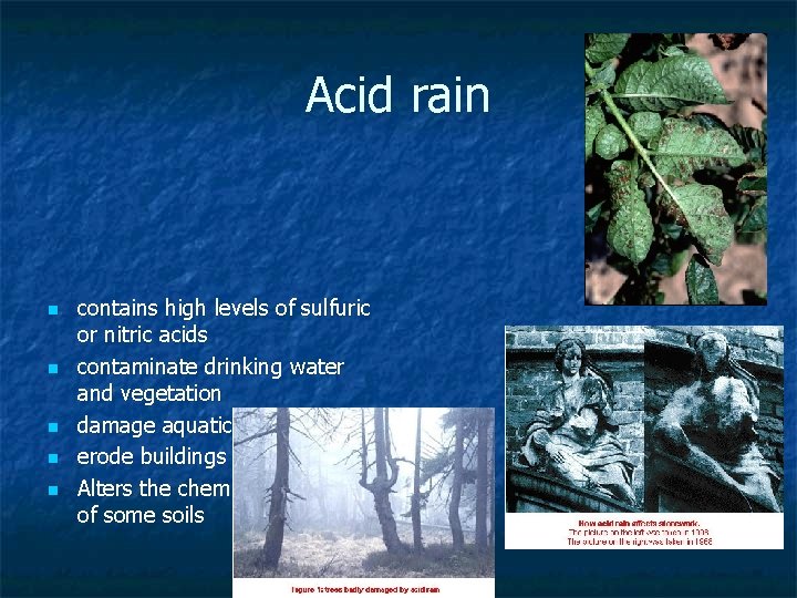 Acid rain n n contains high levels of sulfuric or nitric acids contaminate drinking