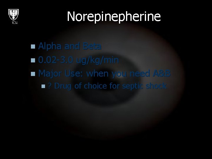 Norepinepherine ICU Alpha and Beta n 0. 02 -3. 0 ug/kg/min n Major Use:
