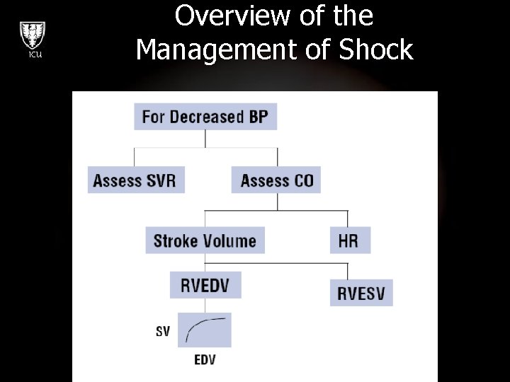ICU Overview of the Management of Shock 
