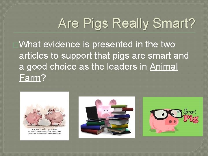 Are Pigs Really Smart? �What evidence is presented in the two articles to support