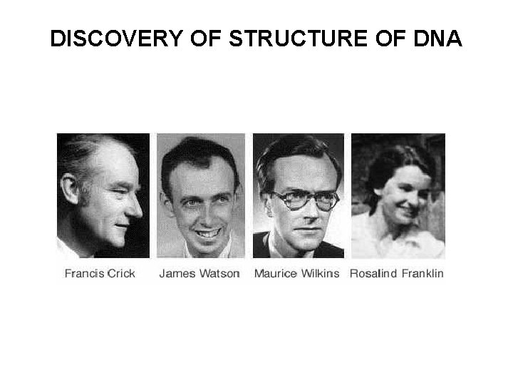 DISCOVERY OF STRUCTURE OF DNA 