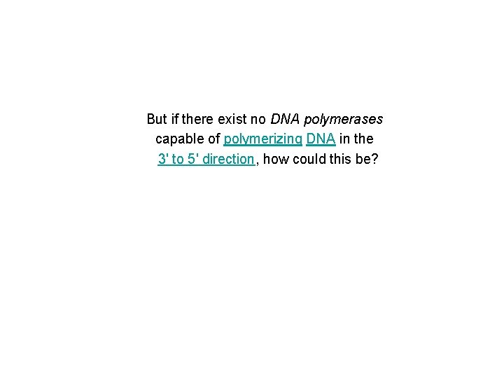 But if there exist no DNA polymerases capable of polymerizing DNA in the 3'