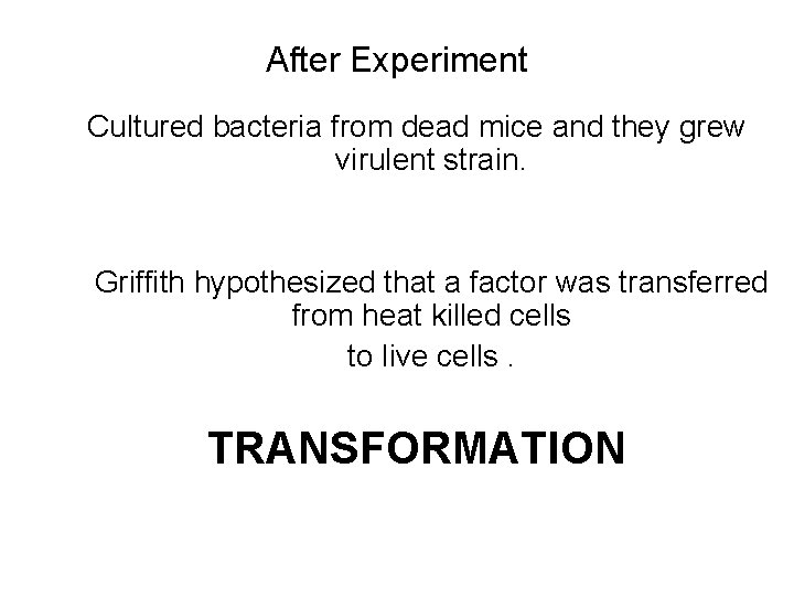 After Experiment Cultured bacteria from dead mice and they grew virulent strain. Griffith hypothesized
