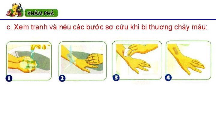 c. Xem tranh và nêu các bước sơ cứu khi bị thương chảy máu: