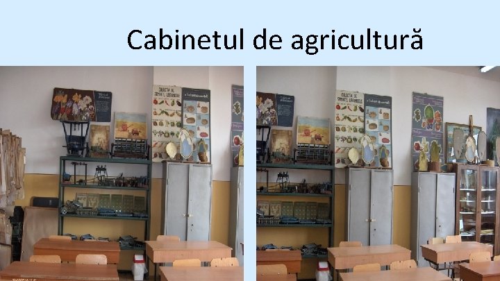 Cabinetul de agricultură 