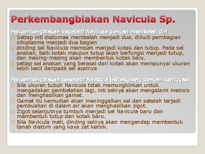 Perkembangbiakan Navicula Sp. Perkembangbiakan vegetatif Navicula dengan membelah diri � Setiap inti diatomae membelah