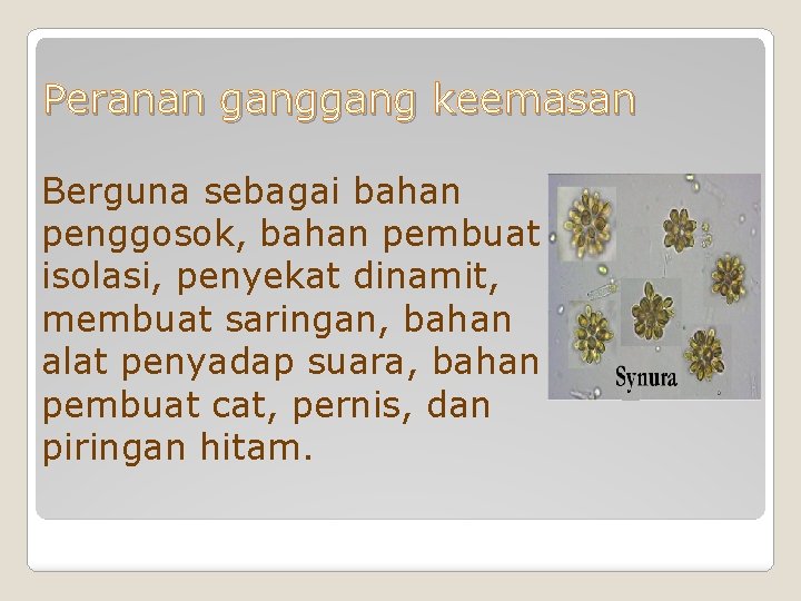 Peranan gang keemasan Berguna sebagai bahan penggosok, bahan pembuat isolasi, penyekat dinamit, membuat saringan,