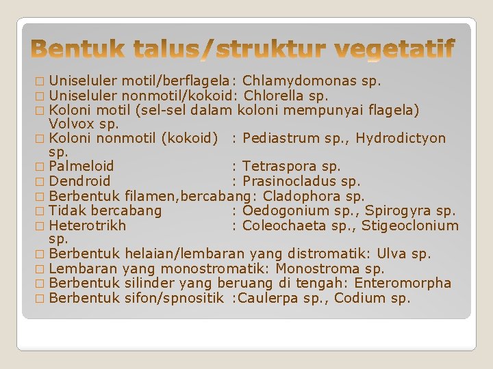 � Uniseluler motil/berflagela : Chlamydomonas sp. � Uniseluler nonmotil/kokoid: Chlorella sp. � Koloni motil