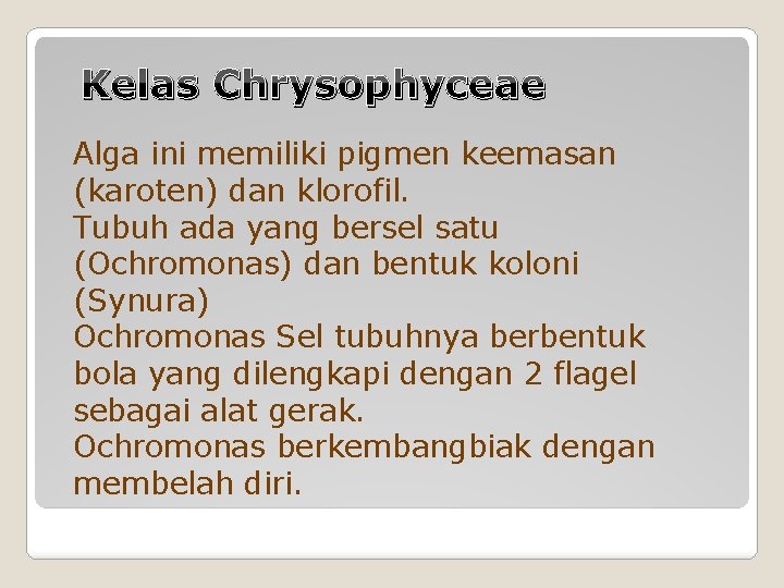 Kelas Chrysophyceae Alga ini memiliki pigmen keemasan (karoten) dan klorofil. Tubuh ada yang bersel