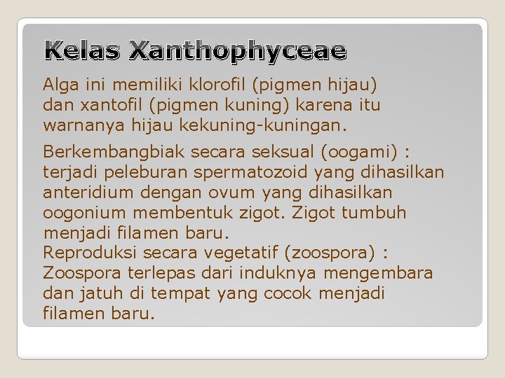 Kelas Xanthophyceae Alga ini memiliki klorofil (pigmen hijau) dan xantofil (pigmen kuning) karena itu