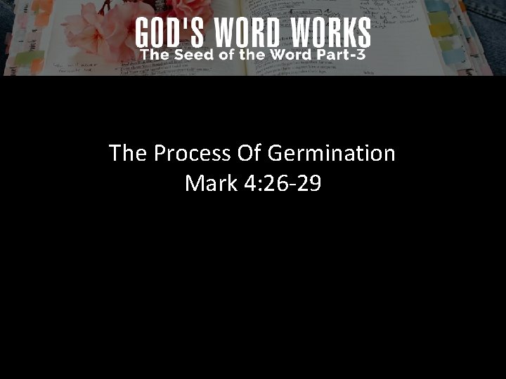The Process Of Germination Mark 4: 26 -29 