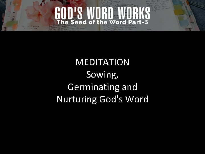 MEDITATION Sowing, Germinating and Nurturing God's Word 