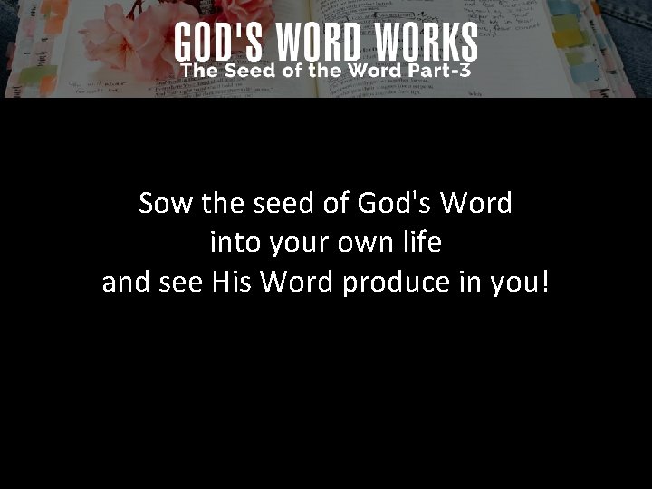 Sow the seed of God's Word into your own life and see His Word