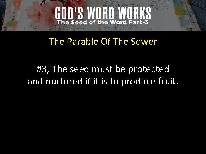 The Parable Of The Sower #3, The seed must be protected and nurtured if