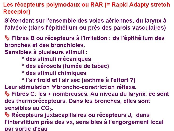 Les récepteurs polymodaux ou RAR (= Rapid Adapty stretch Receptor) S’étendent sur l'ensemble des