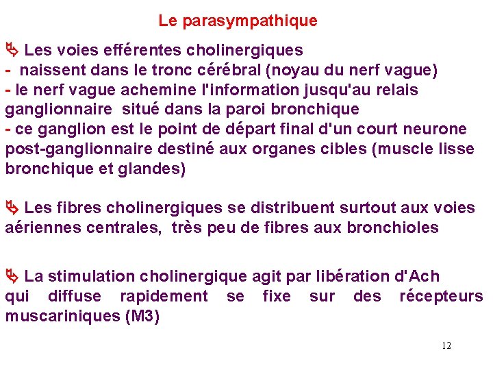 Le parasympathique Les voies efférentes cholinergiques - naissent dans le tronc cérébral (noyau du