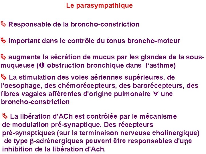 Le parasympathique Responsable de la broncho-constriction Important dans le contrôle du tonus broncho-moteur augmente