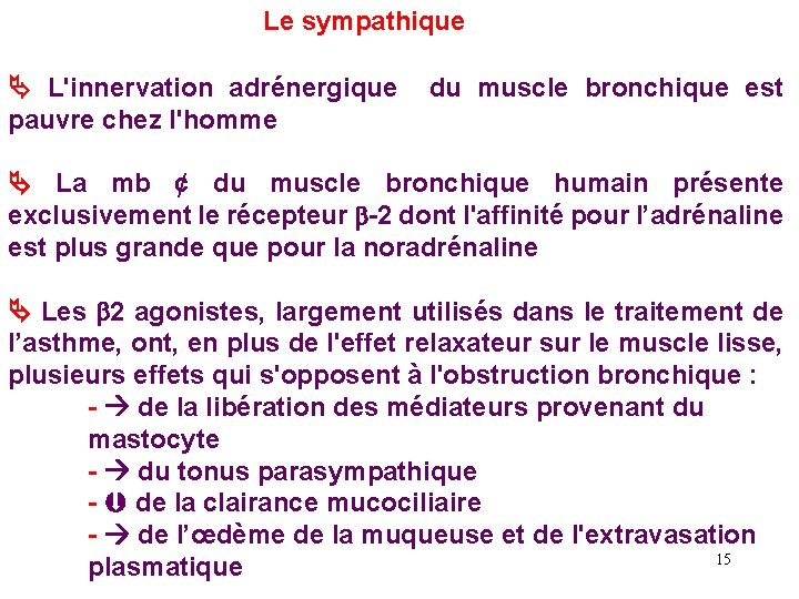 Le sympathique L'innervation adrénergique pauvre chez l'homme du muscle bronchique est La mb ¢