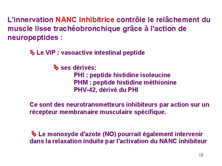 L'innervation NANC inhibitrice contrôle le relâchement du muscle lisse trachéobronchique grâce à l'action de