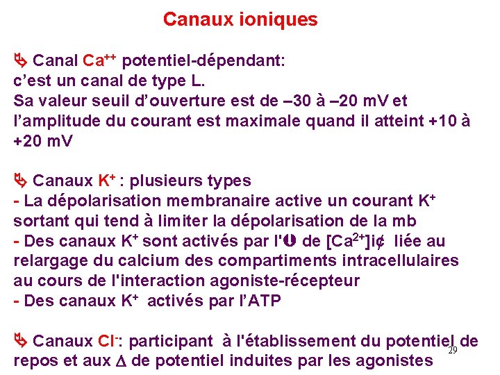 Canaux ioniques Canal Ca++ potentiel-dépendant: c’est un canal de type L. Sa valeur seuil